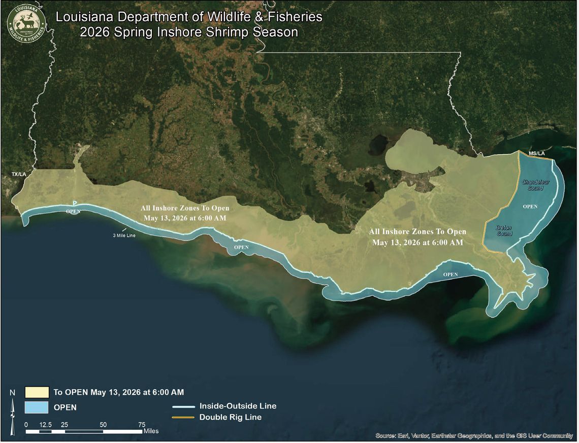 LDWF sets opening for inland shrimp season in Louisiana