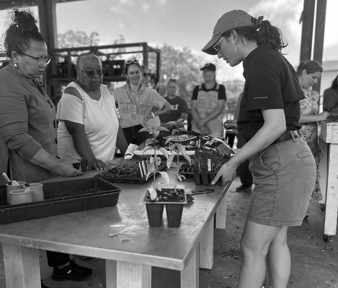 LSU AgCenter workshop trains educators to bring school gardens into the classroom