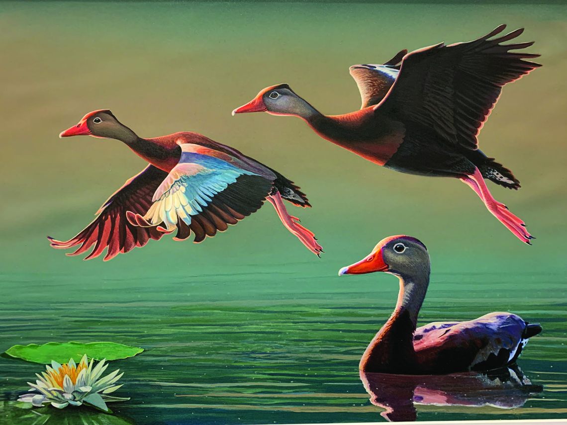 LWFC approves resolution setting Louisiana waterfowl conservation stamp price at $15
