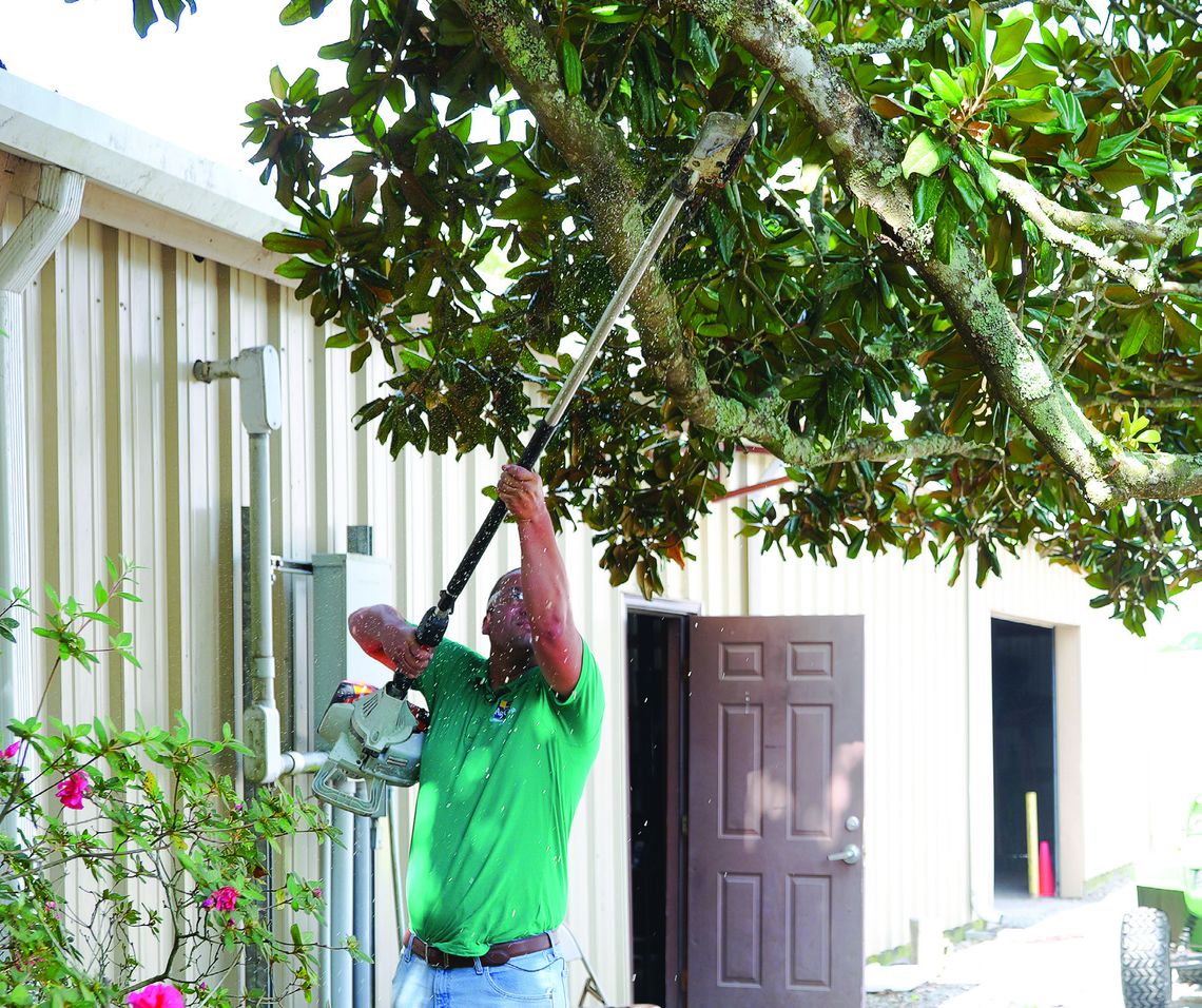 Need to remove a branch? Follow these steps