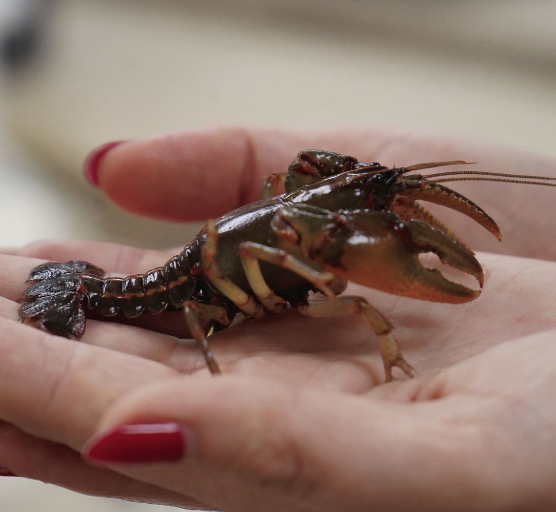 New aquaculture professor wants to create a lasting legacy of research excellence