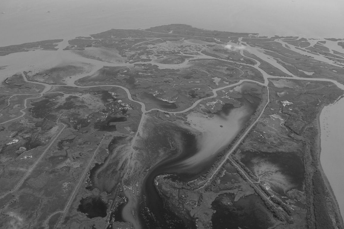 NOAA predicts Gulf “dead zone” will be about 5,500 square miles