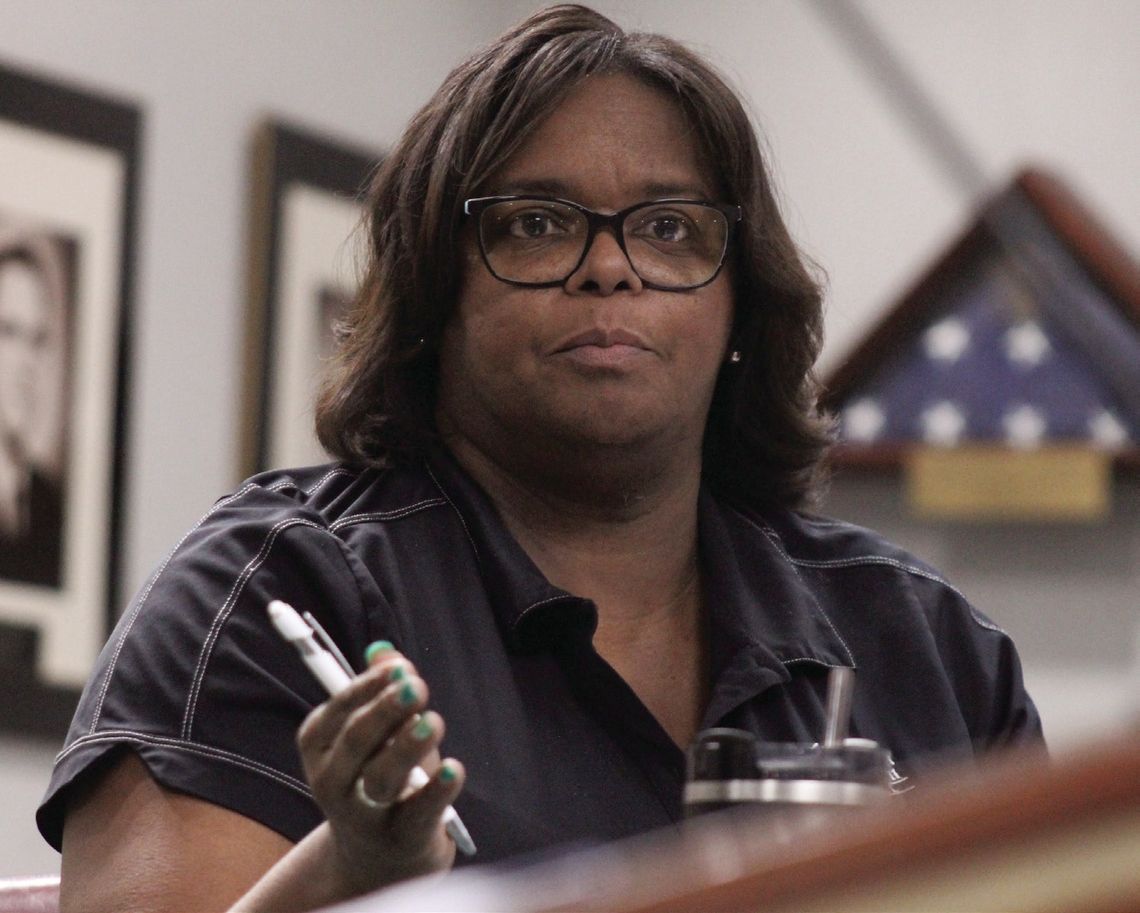 Parish Council hears concerns about trees along drainage canals