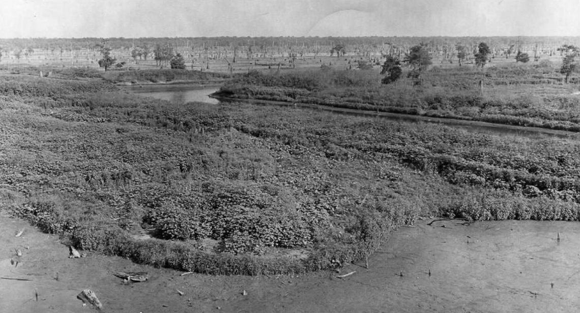 - Picture from the past