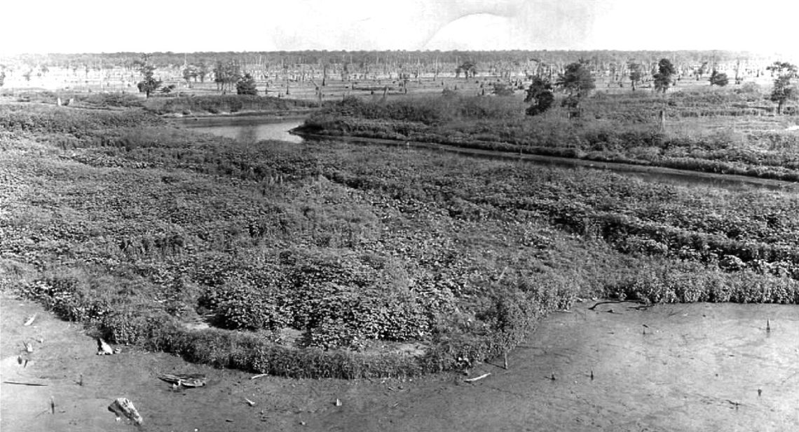 - Picture from the past