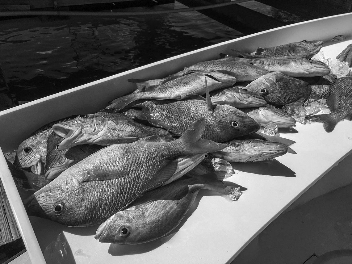 Sixty-eight percent of recreational red snapper allocation has been harvested