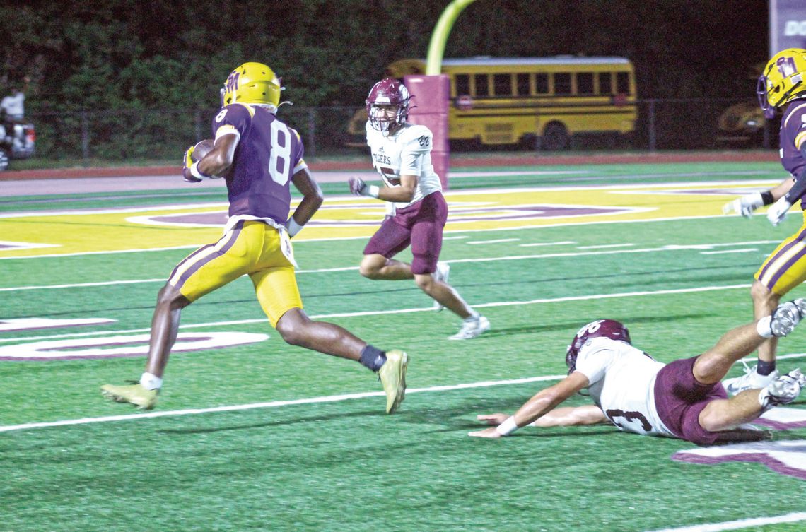 St. Martinville wins parish championship
