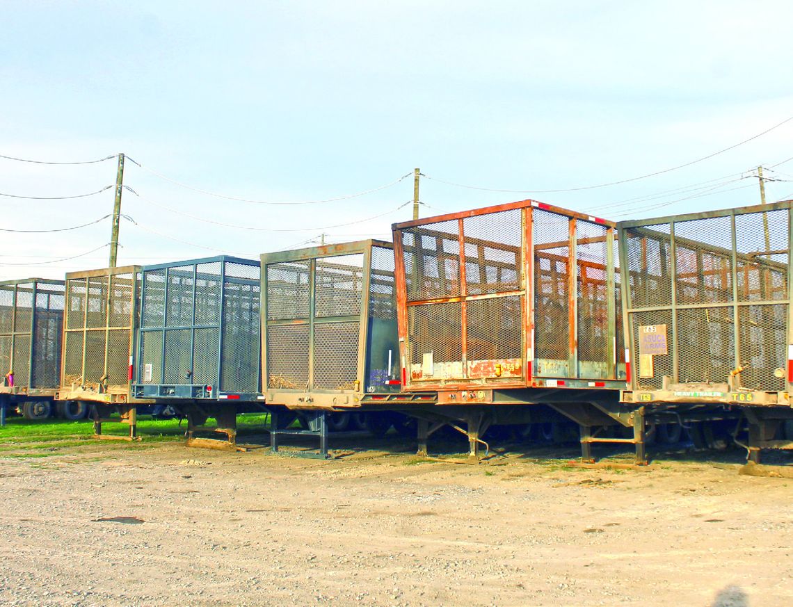 Sugar cane processing completed on Dec. 27