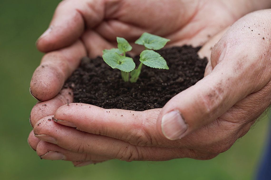 The effects of soil degradation