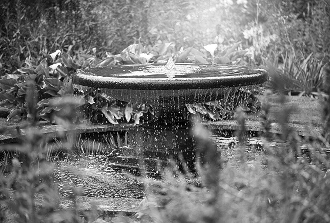 Unique features for outdoor living spaces Unique features for outdoor living spaces